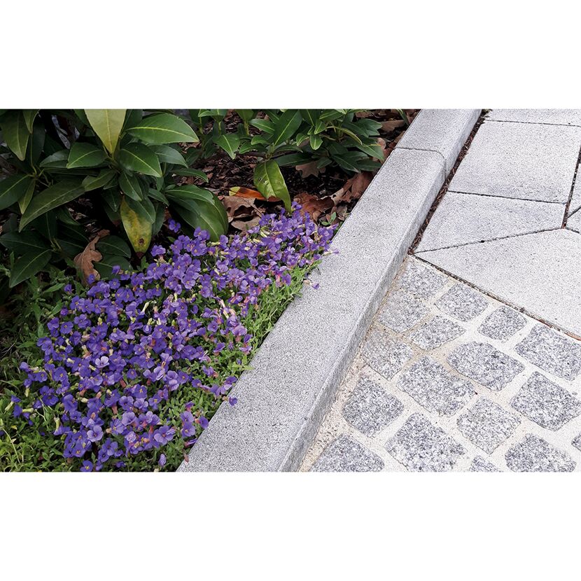 Lila Blumenbeet neben grauem Betonpfad