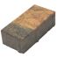 Rechteckpflaster 20 x 10 x 6 cm herbstlaub