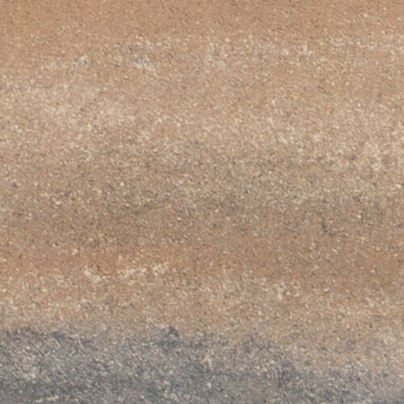 Bellaria Platte muschelcreme Nahaufnahme