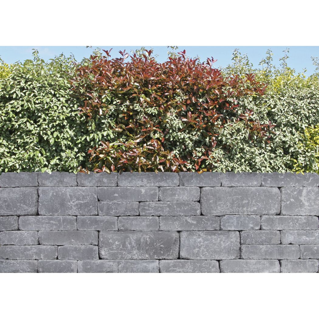 Graue Steinmauer mit Hecke