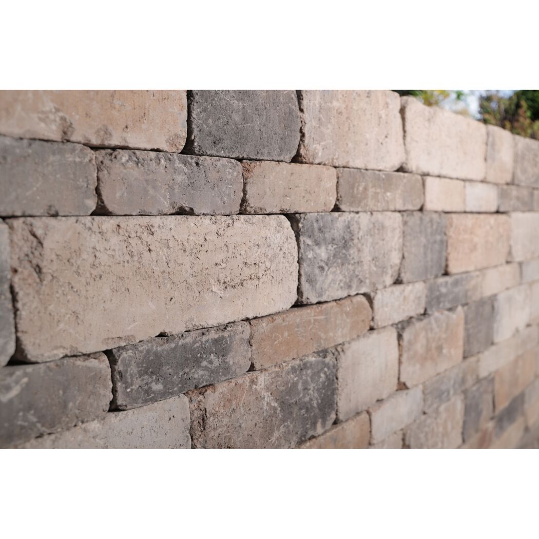 Mauer aus Muschelkalk-Verblendsteinen