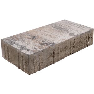 Pflasterstein 'Veria' muschelkalk 40 x 20 x 8 cm