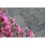 Graue Pflastersteine mit pinken Blumen