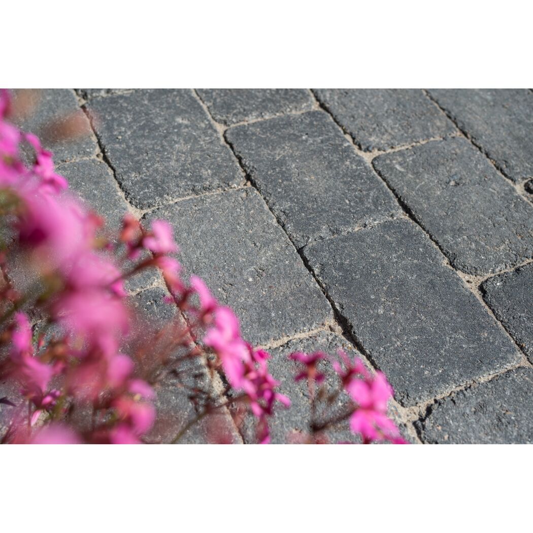 Graue Pflastersteine mit pinken Blumen