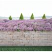 hauptbild