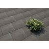 Graue Terrassenplatten mit einer Topfpflanze