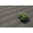 Graue Terrassenplatten mit einer Topfpflanze