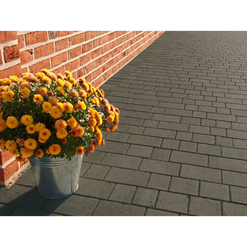 Grauer Pflasterbelag mit Blumenkübel an Backsteinmauer