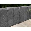 Graue Gartenmauer aus Beton