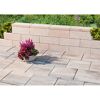 Blumenkübel auf gepflasterter Terrasse mit niedriger Mauer