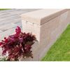 T-Wall Trend Eco Ab.45x22,5x5 sandstein mit Bepflanzung