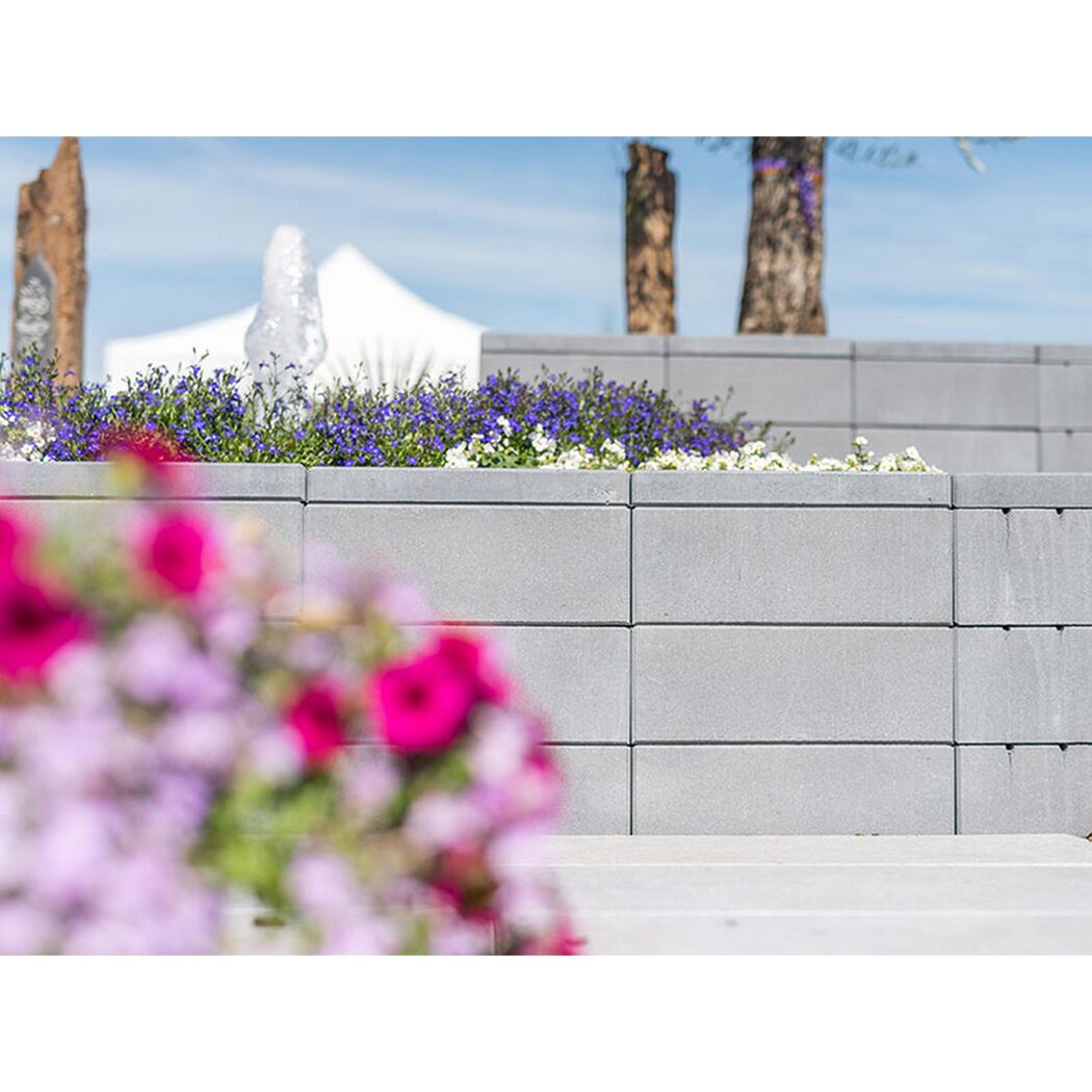 Graue Gartenmauer mit blauen und weißen Blumen
