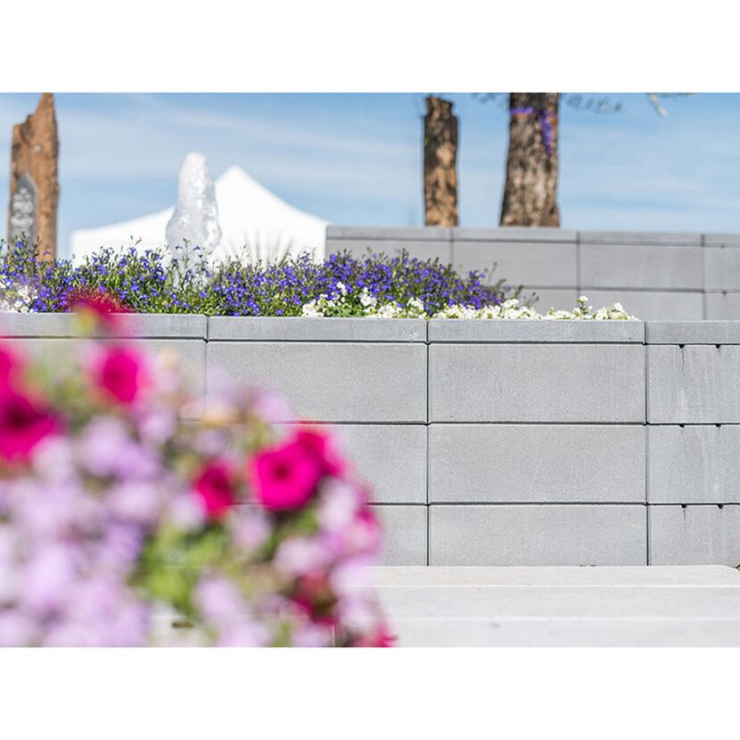 Graue Gartenmauer mit blauen und weißen Blumen