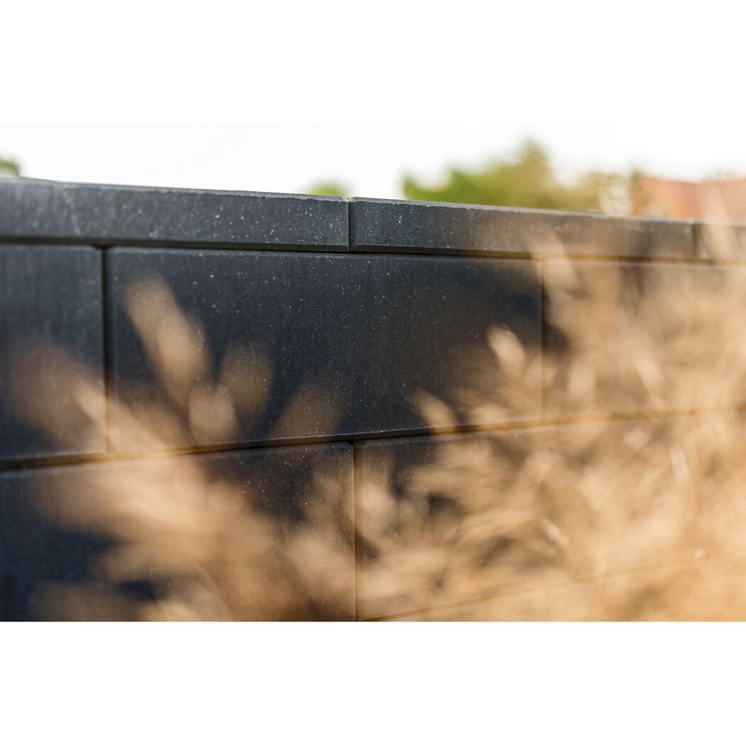 Schwarze Gartenmauer