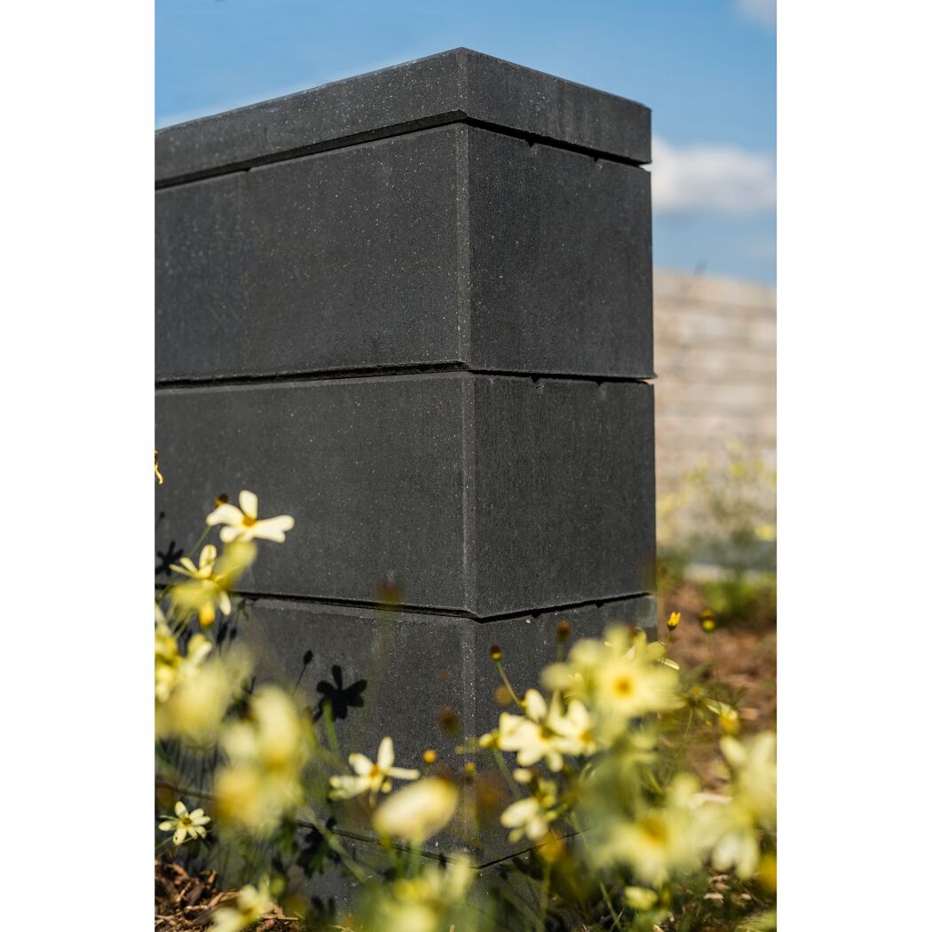 Schwarze T-Wall Trend im Garten