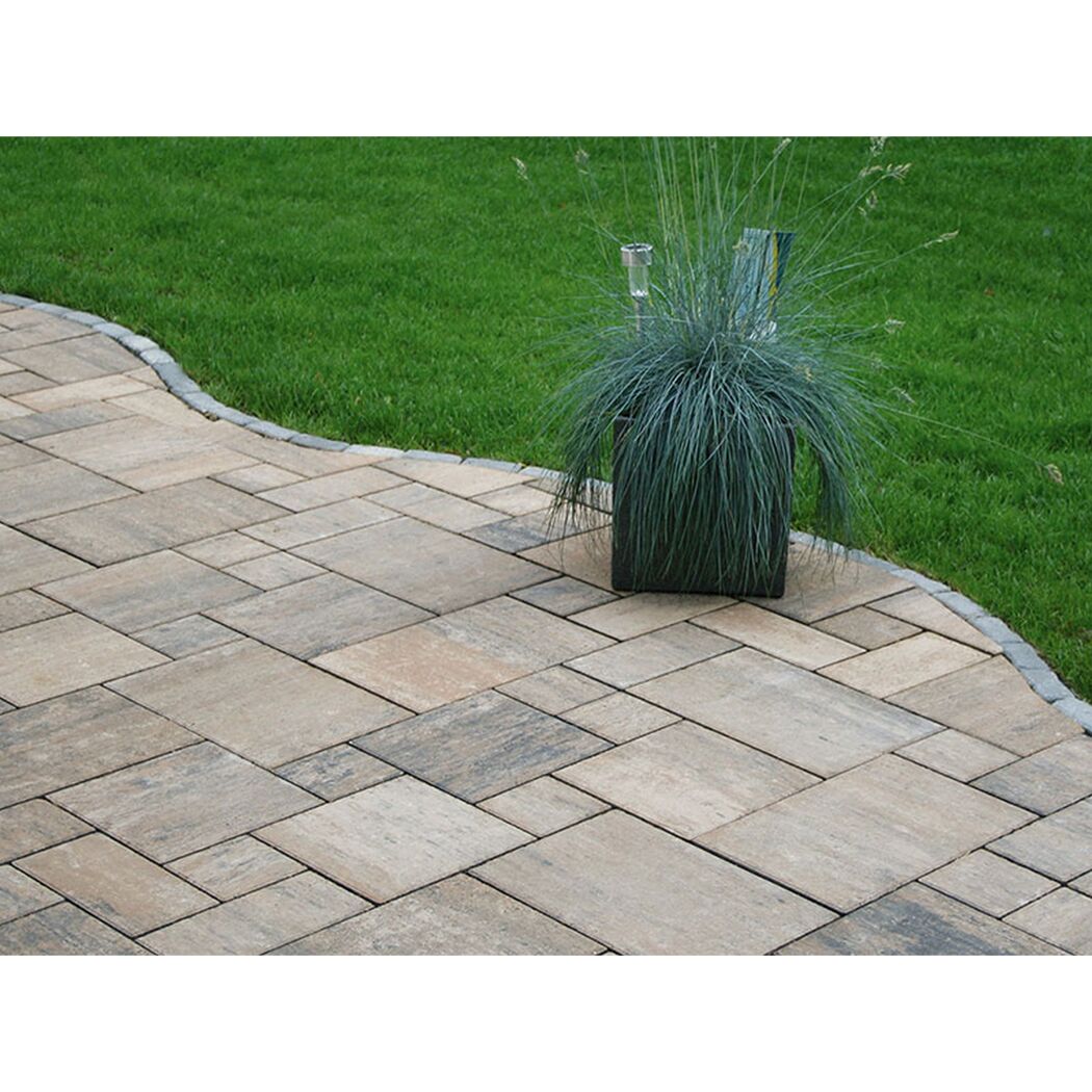 Gepflasterte Terrasse mit Rasenfläche und Pflanze im Topf