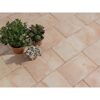 Beige Terrassenplatten mit drei Blumentöpfen
