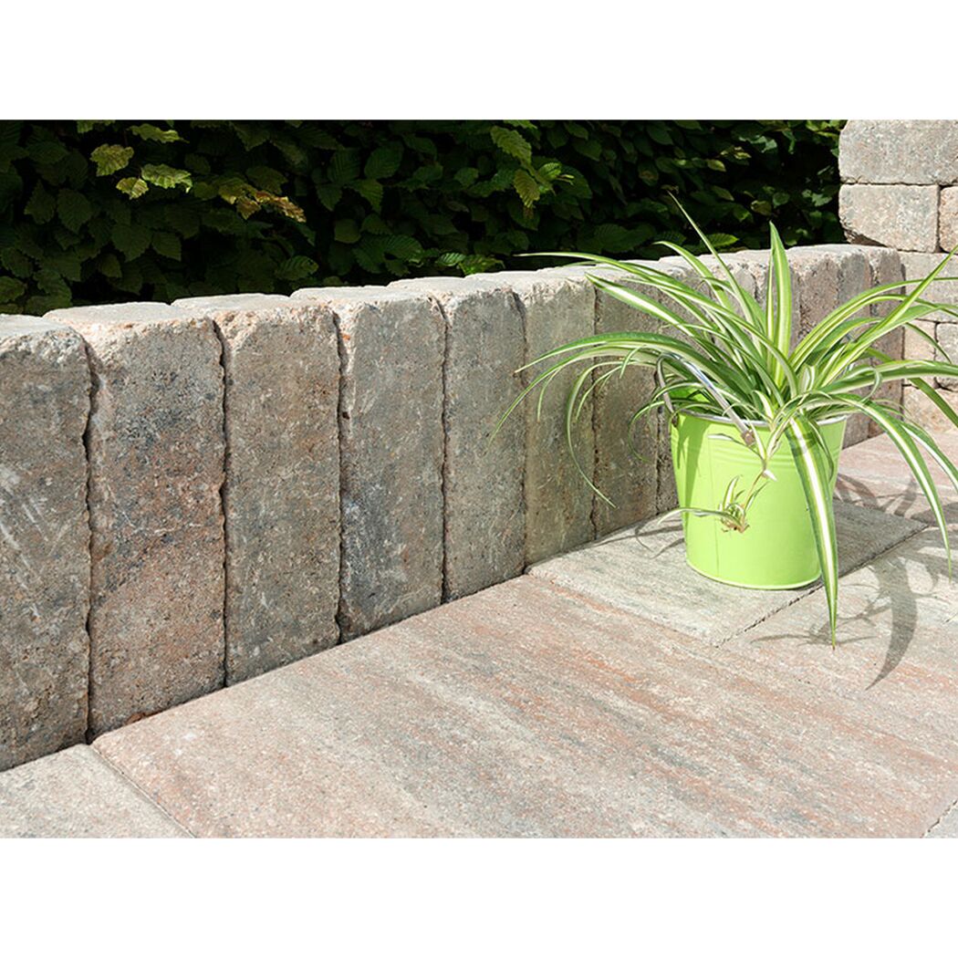 T-Wall Aged 30x10x10 muschelk mit Pflanze im Topf