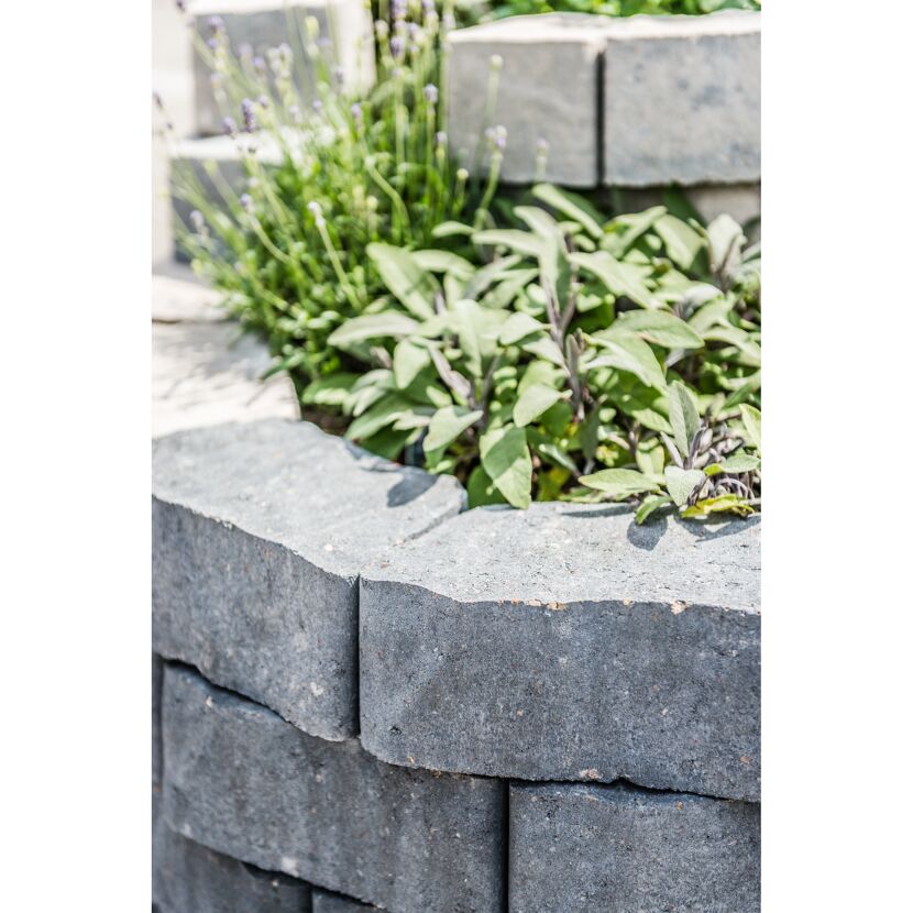 Graue Gartenmauer mit Kräutern