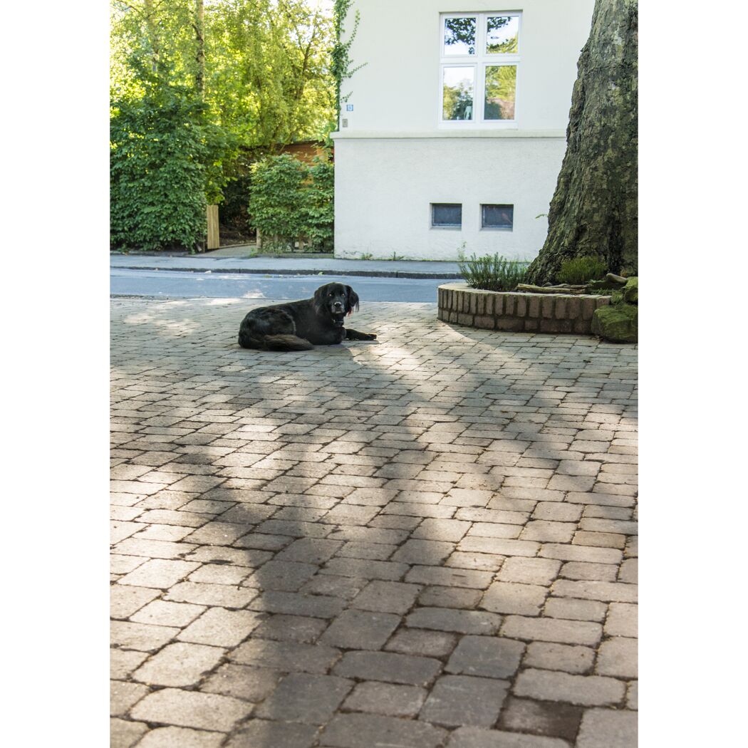 Antikpflaster 'Aged' Beton bunt 21 x 28 x 7 cm