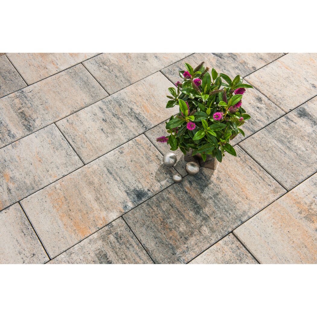 Beige-graue Terrassenplatten mit Topfpflanze