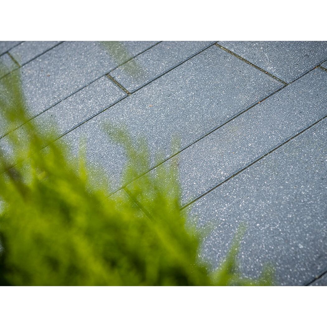 Graue Terrassenplatten neben grünen Pflanzen.