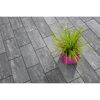 Graue Terrassenplatten mit Topfpflanze
