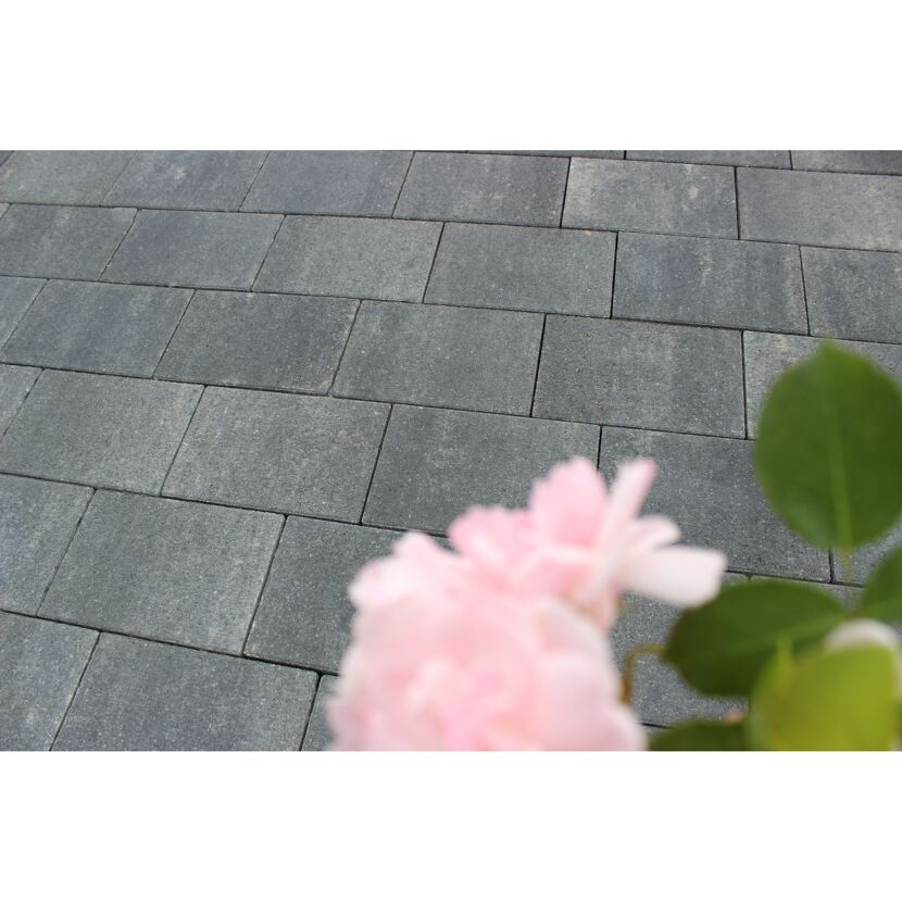 Graue Pflastersteine und eine rosa Rose