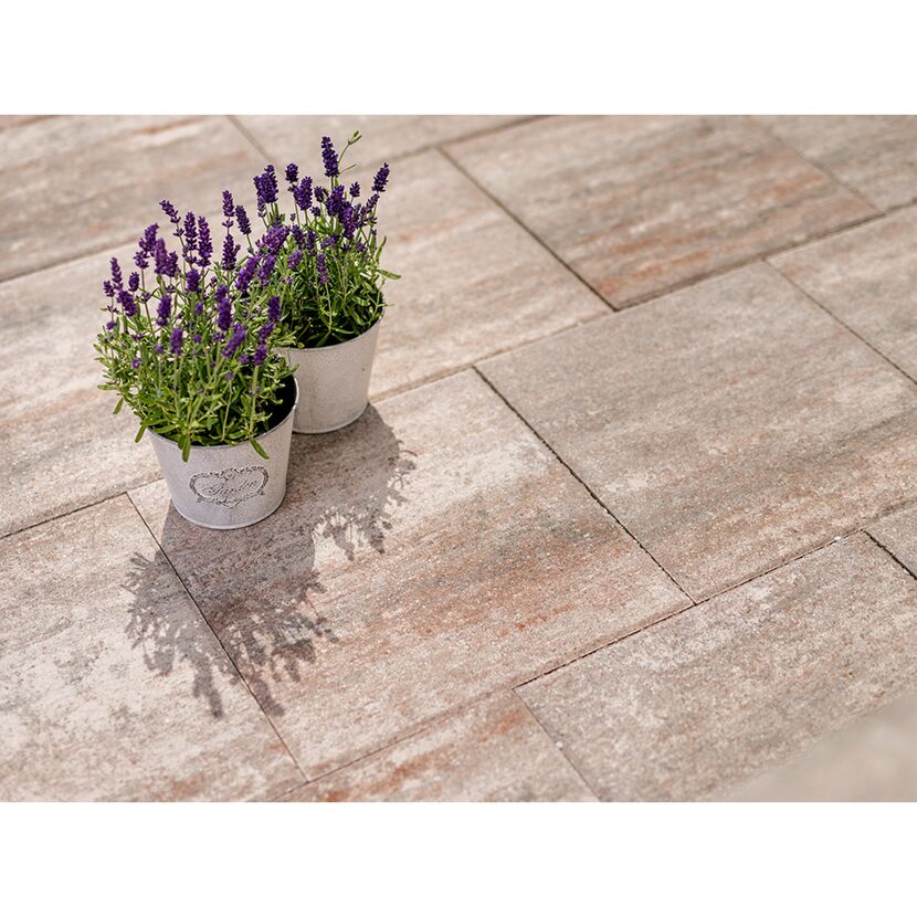 Zwei Lavendeltöpfe auf Terrassenplatten