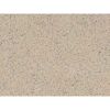 Beigefarbene T-Court Classic Sandsteinplatte