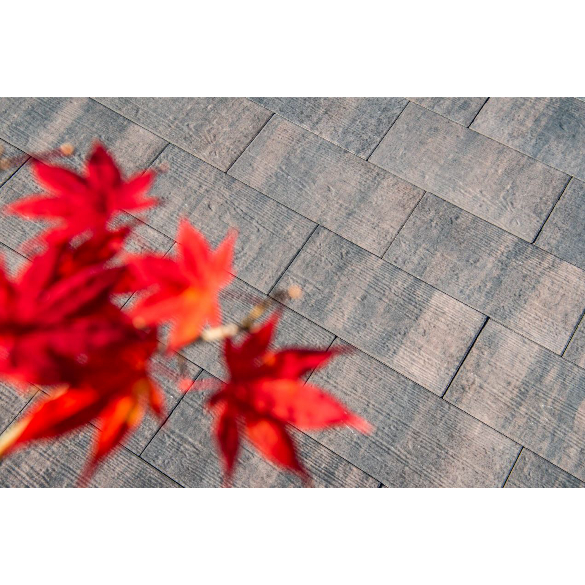 Terrassenplatte 'T-Court Timber' Beton rot/schwarz 60 x 30 x 4 cm + product picture