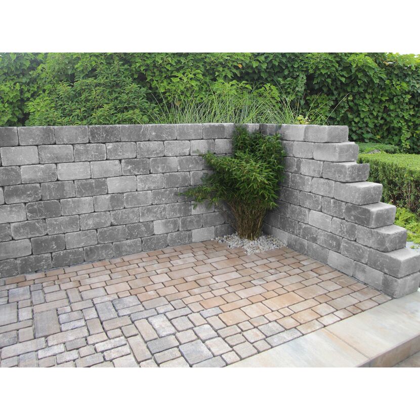 Graue Gartenmauer mit Bambus und Pflaster