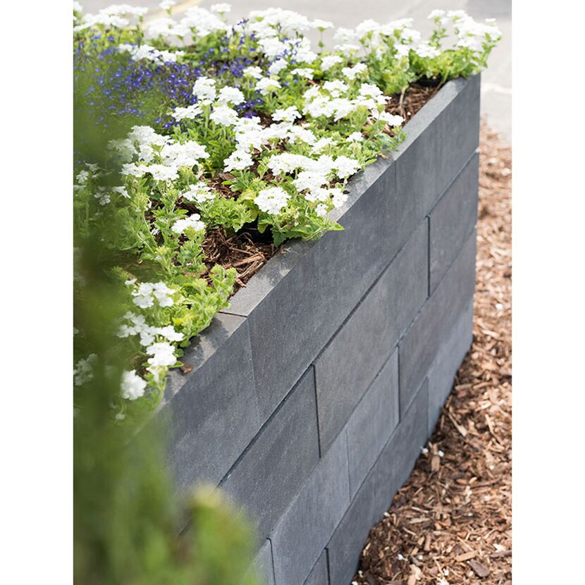 Grauer Mauerstein mit weißen und blauen Blumen