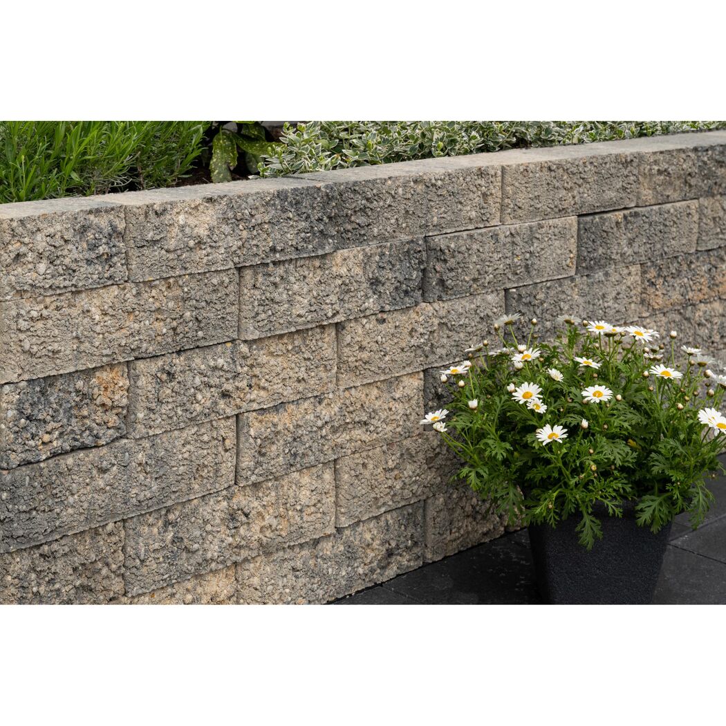 Graue Steinmauer mit Topfpflanze