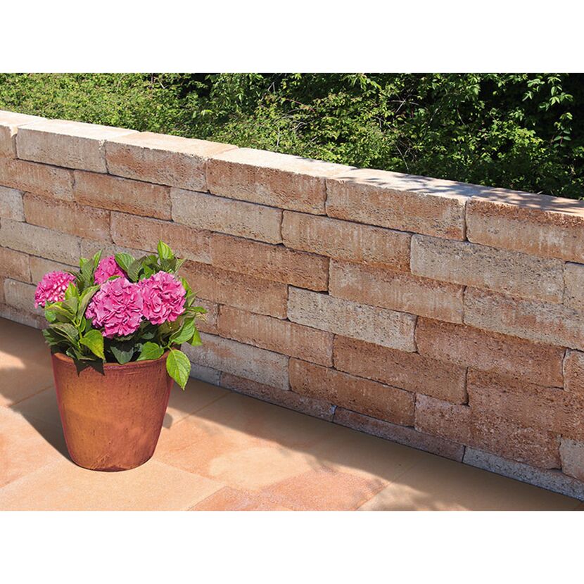 Beige Gartenmauer mit Topfpflanze davor
