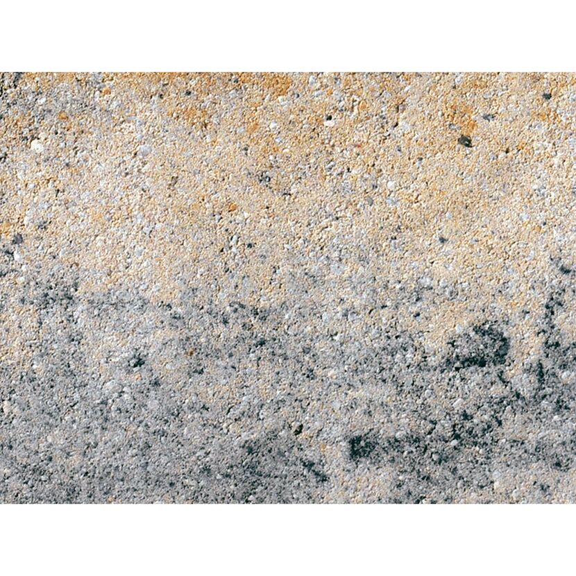 Fläche aus Muschelkalk
