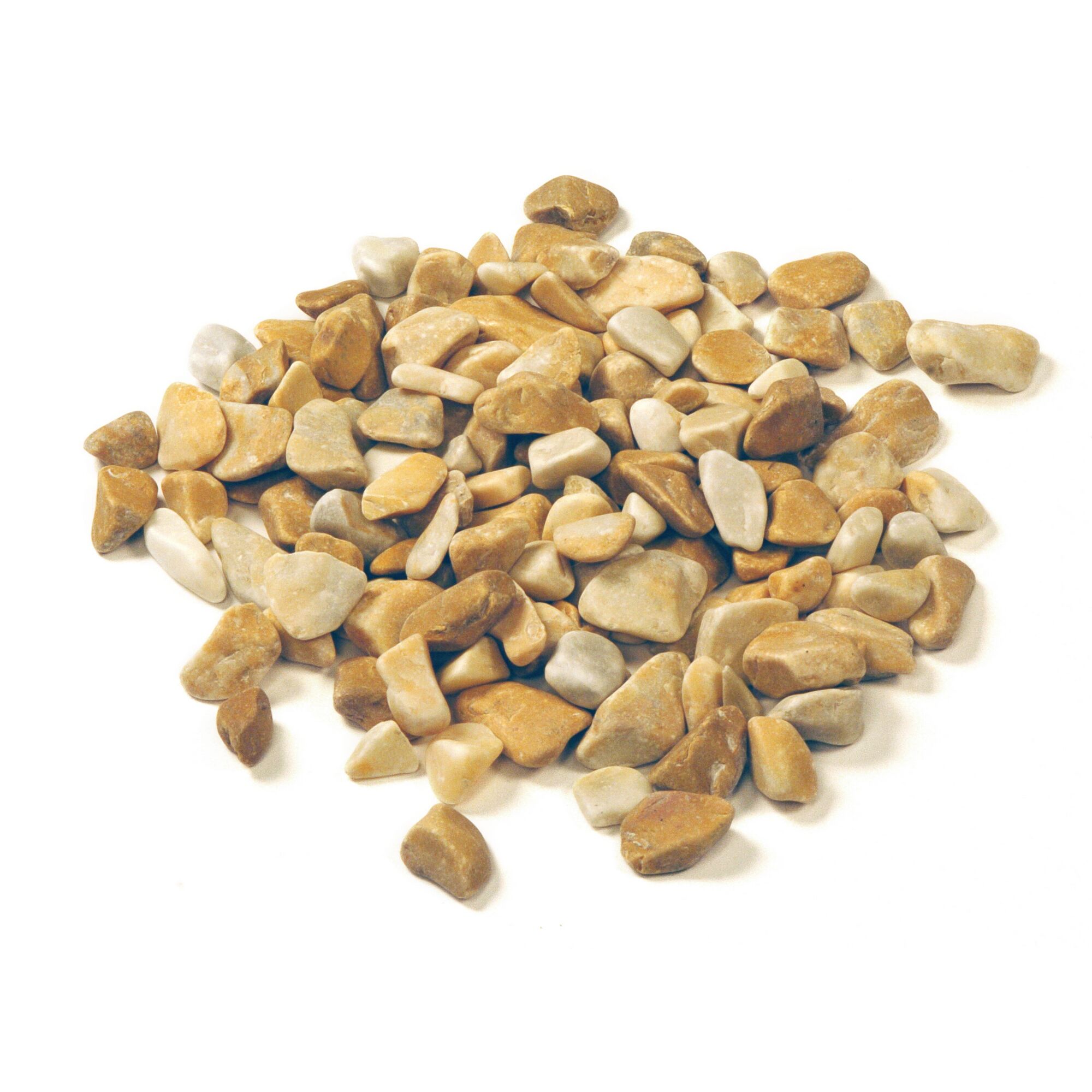 Gelber Marmorkies