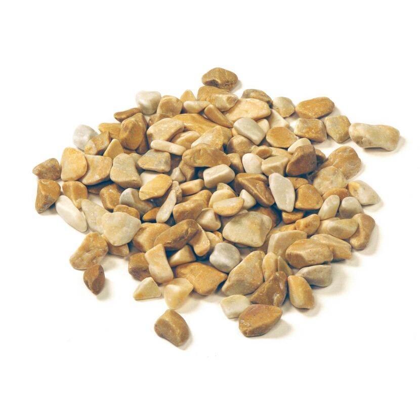 Gelber Marmorkies