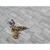 Graue Terrassenplatten T-Court Modern mit Deko-Hühnern und Pflanze