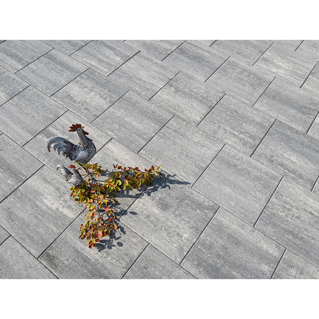 Graue Terrassenplatten T-Court Modern mit Deko-Hühnern und Pflanze