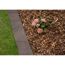 Rindenmulch Beet mit Hortensie