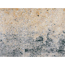 Verkleinertes Bild von Palisade 'T-Gravity Square' Beton muschelkalkfarben 80 x 12,5 x 12,5 cm
