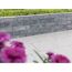 Graue Gartenmauer mit Blumen