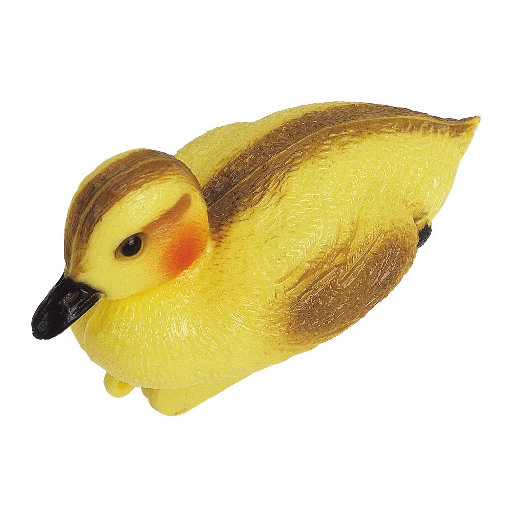 Gelbes Entenküken