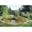 Gartenteich mit Seerosen, Schilf und Goldfischen