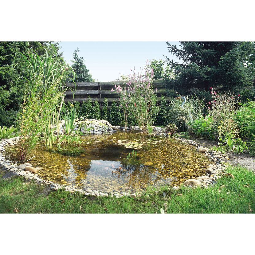 Gartenteich mit Seerosen, Schilf und Goldfischen