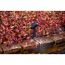 Schwarzer OASE Lunaqua Conn M Solo Spot beleuchtet rote und blaue Pflanzen