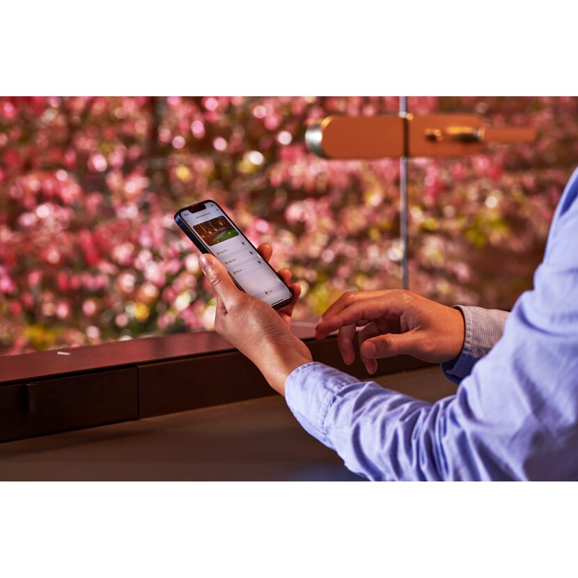 Person steuert Gartenbeleuchtung über Smartphone