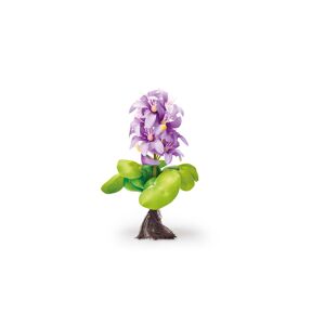 Schwimmende Teich-Hyazinthe 'PondoHyacinth Blooming' lila 15 cm