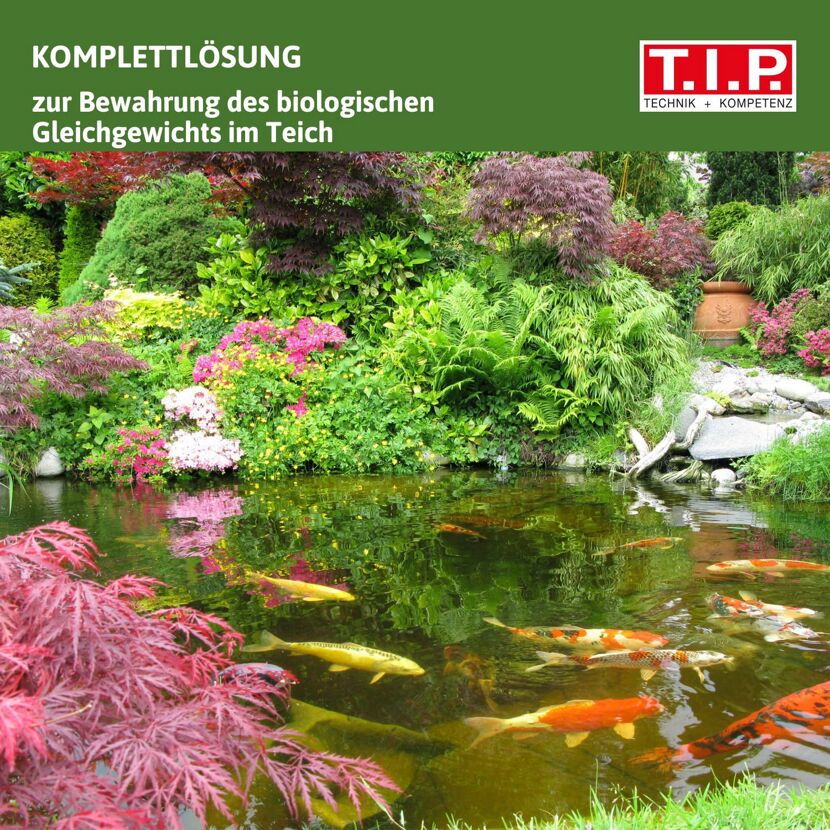 Teichaußenfilter-Set 'MTS 4000 UV 9' 1000 l/h Teichvolumen maximal 4000 l